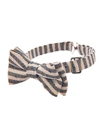 Little Boy's & Striped Vest Bow-Tie