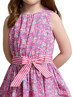 Little Girl's & Floral Cotton Fit-And-Flare Dress