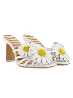 Margarita 80M Leather Daisy Mules