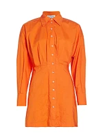 Abby Cotton Pleated Shirtdress