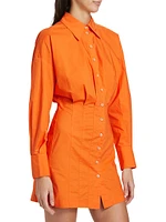 Abby Cotton Pleated Shirtdress