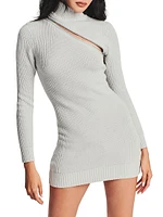 Oceana Sweater Dress