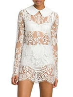 Collared Lace Minidress