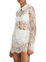 Collared Lace Minidress