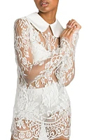 Collared Lace Minidress