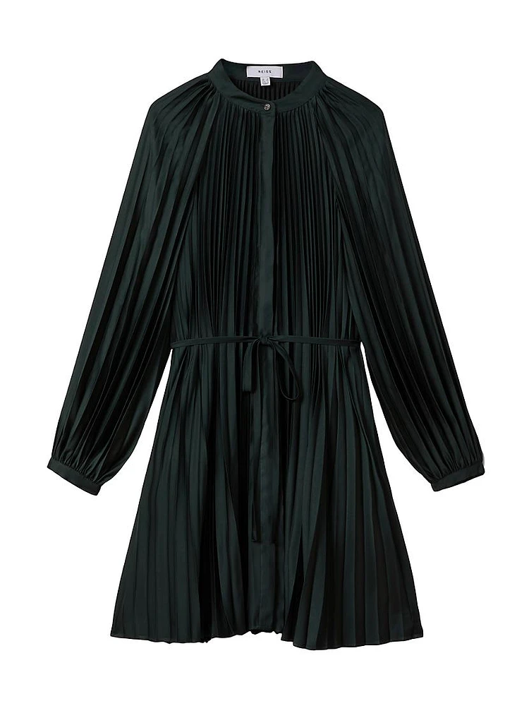 Trina Pleated Minidress