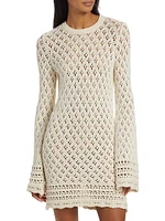 Crochet Long-Sleeve Minidress