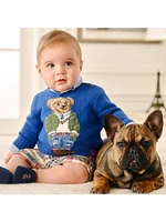 Baby Boy's Knit Polo Bear Sweater