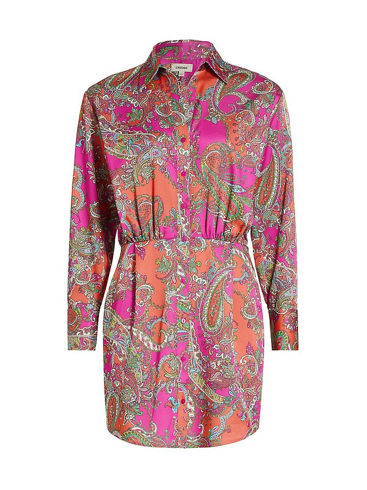 Demetria Paisley Shirtdress