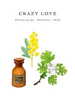 Crazy Love Max 24 Candle