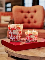 Crazy Love Max 24 Candle