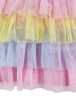 Little Girl's Tulle Tutu Dress