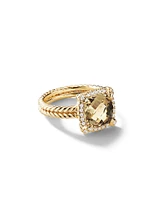 Chatelaine Pavé Bezel Ring 18K Yellow Gold