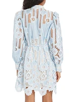 Jetsetter Lace Long-Sleeve Minidress