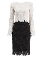 Two-Tone Lace Sheath Dress