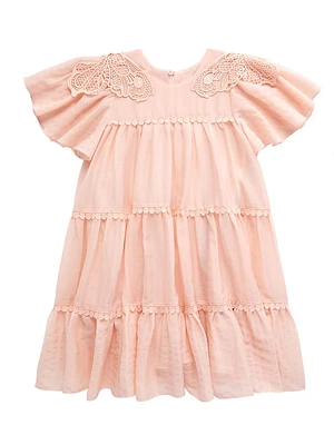 Little Girl's & Caroline Embroidered Dress