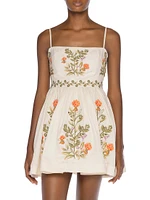 Alma Sapucai Cultivo Floral-Embroidered Linen Minidress