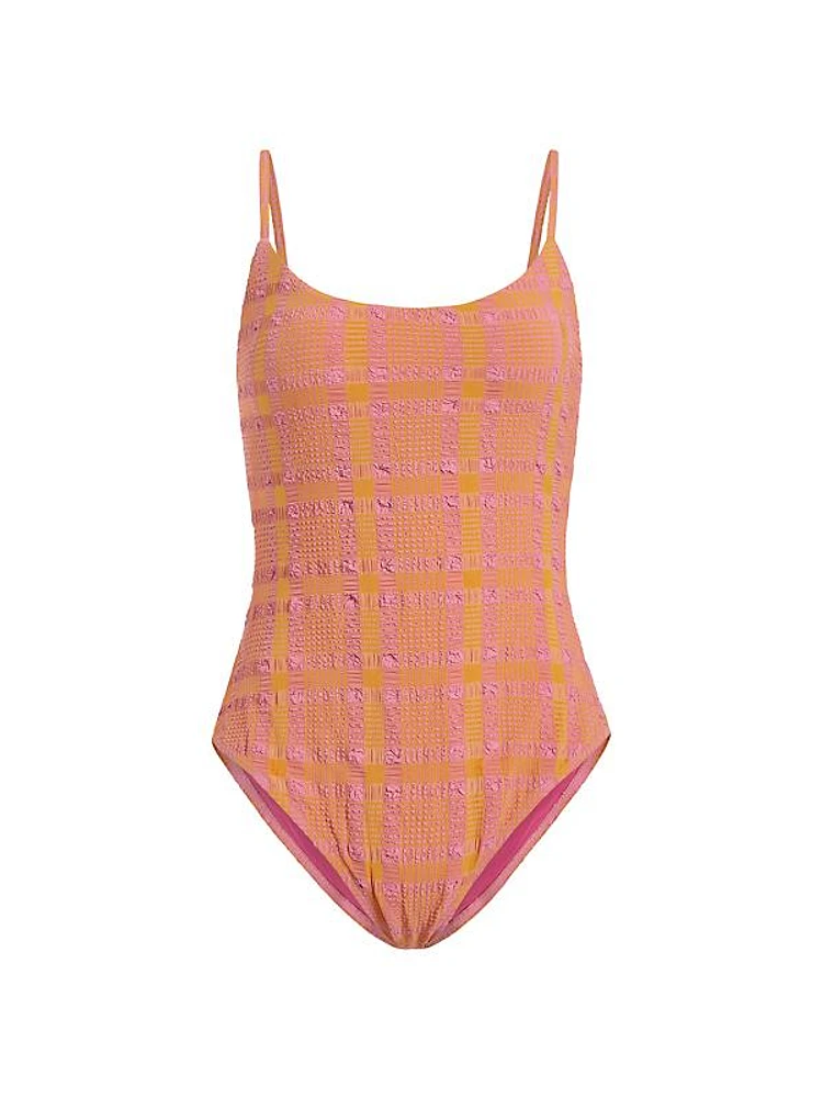 Amalfi Gingham One-Piece Swimsuit