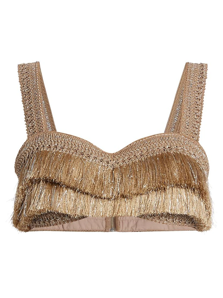 Metallic Fringe Bra Top