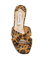 Divine 50MM Leopard Suede Mules