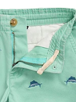 Little Boy's & Embroidered Twill Shorts