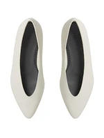 Leather Point-Toe Ballerina Flats