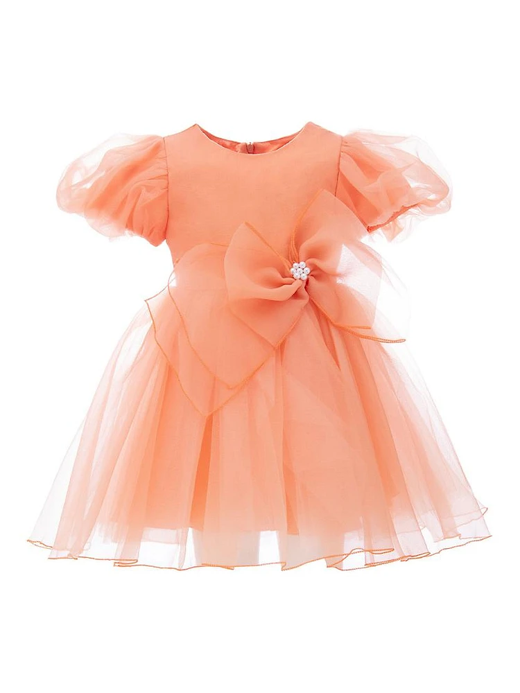 Little Girl's & Organza Dress