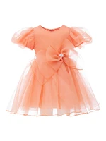 Little Girl's & Organza Dress