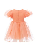 Little Girl's & Organza Dress