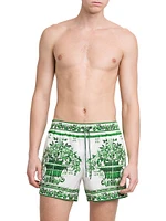 Maiolica Drawstring Swim Trunks