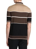 Striped Silk Polo Shirt