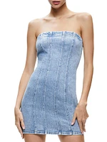 Palmer Denim Bustier Minidress