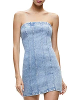 Palmer Denim Bustier Minidress