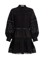 Cailin Embroidered Minidress