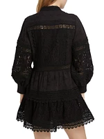 Cailin Embroidered Minidress