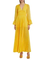 Selene Chiffon Long-Sleeve Maxi Dress