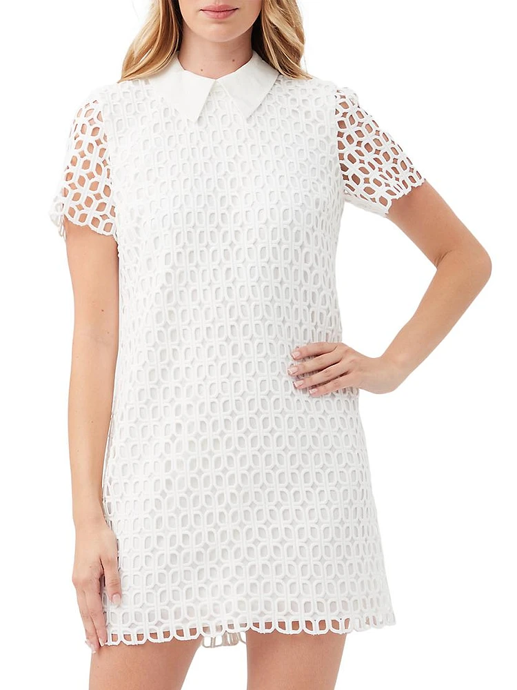 Sorrento Openwork Sheath Minidress