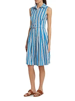 Audrey Terry Stripe Stretch Cotton Shirtdress