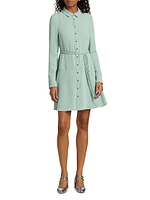 Angie Belted Shirtdress