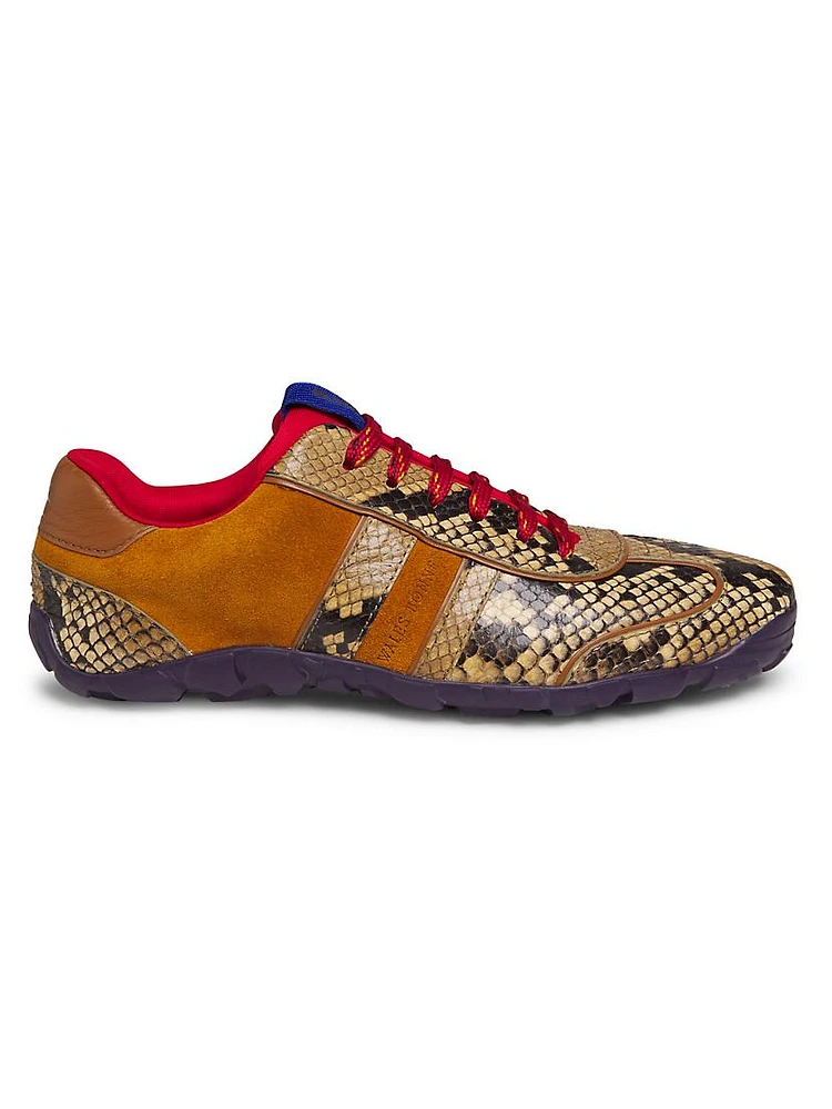 Dream Study Snake-Printed Leather & Suede Low-Top Sneakers