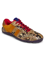 Dream Study Snake-Printed Leather & Suede Low-Top Sneakers