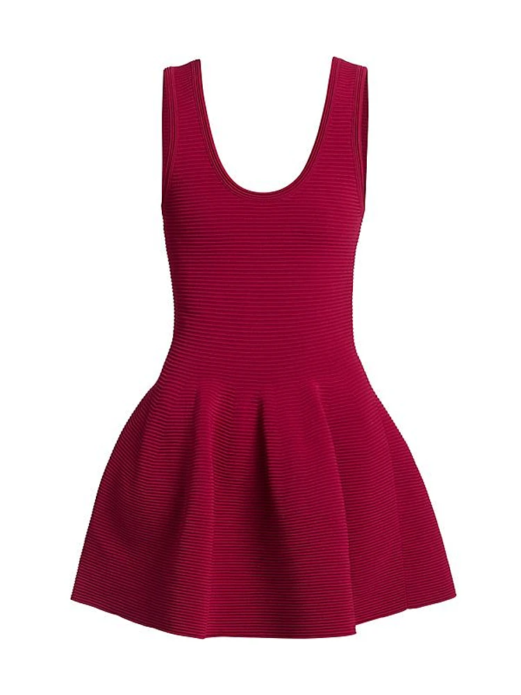 Larina Knit Fit & Flare Minidress