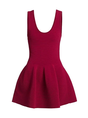 Larina Knit Fit & Flare Minidress