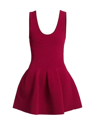 Larina Knit Fit & Flare Minidress