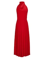 Nathalie Cowl Neck Sleeveless Maxi Dress