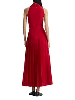 Nathalie Cowl Neck Sleeveless Maxi Dress