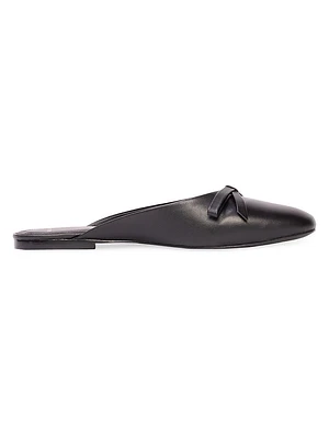 Cassy Ballet Flats