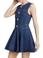 Denim Skater Mini Dress