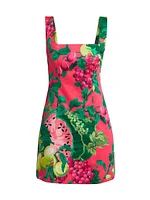 Anna Fruit-Print Cotton Poplin Minidress