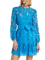 Nellie Embellished Lace Dress